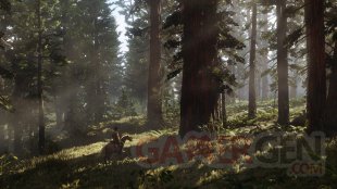 Red Dead Redemption 2 22 05 2017 screenshot 3