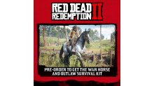 Red Dead Redemption 2 éditions Collector Ultime Spéciale bonus de précommande (1)