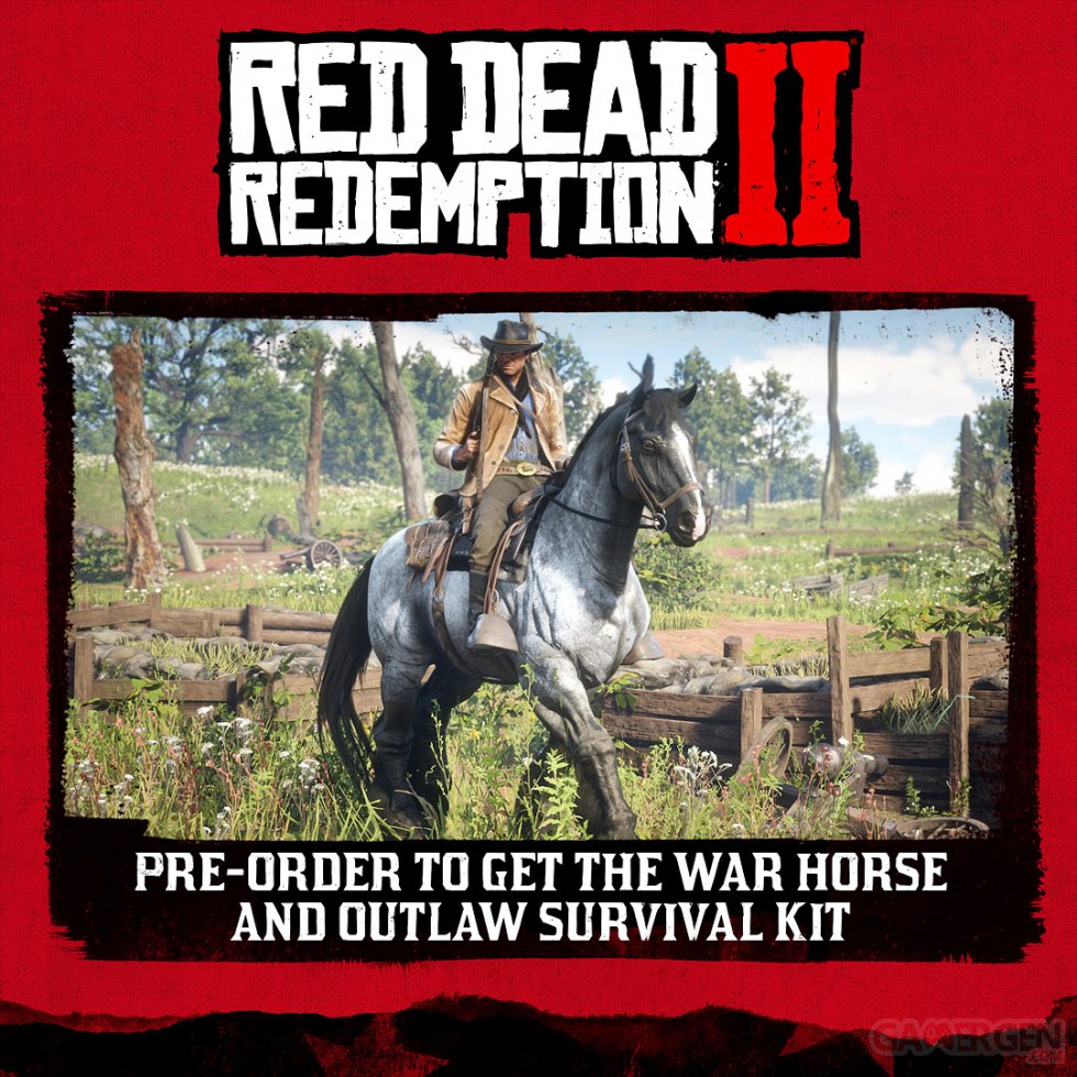 Red Dead Redemption 2 éditions Collector Ultime Spéciale bonus de précommande (1)