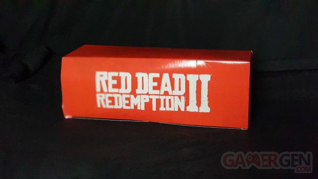 Red Dead Redemption II   Press kit 05