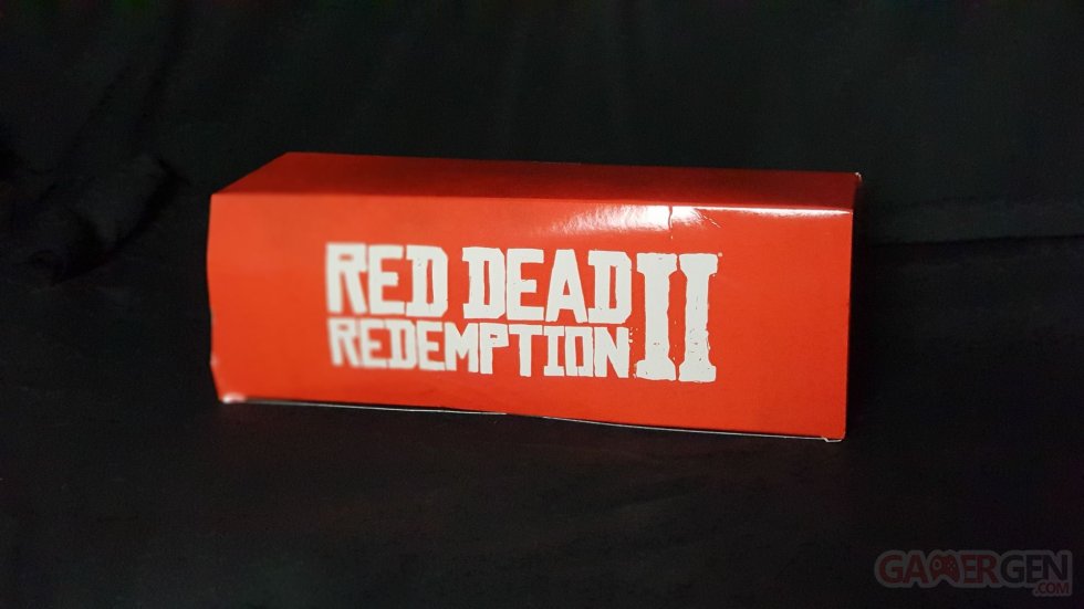 Red Dead Redemption II - Press kit 05