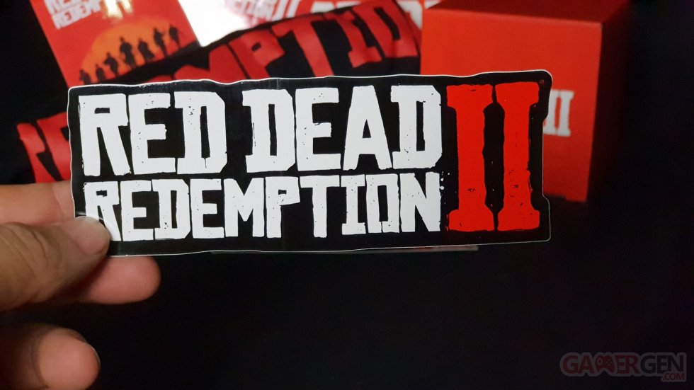 Red Dead Redemption II - Press kit 09