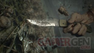 Resident Evil 7 Biohazard images (19)