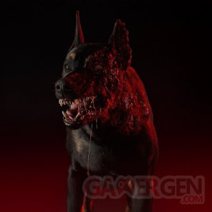 Resident Evil Série Netflix chien zombie live