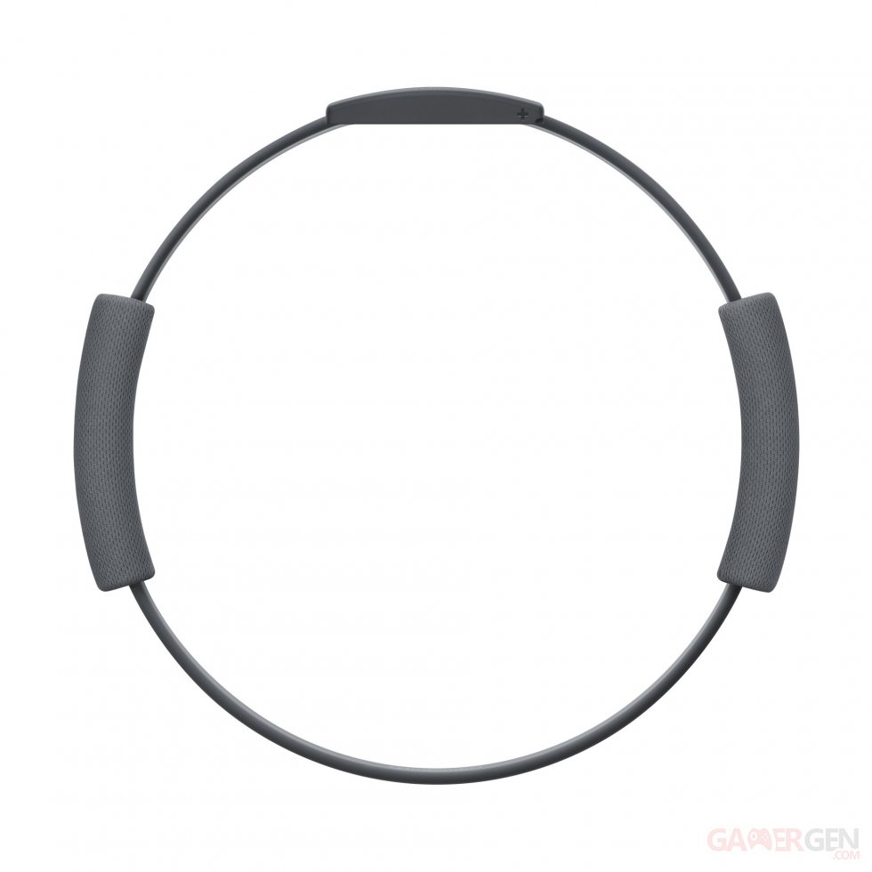 Ring-Con-accessoire-hardware (2)
