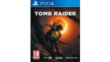 Rise of the Tomb Raider Cover PS4