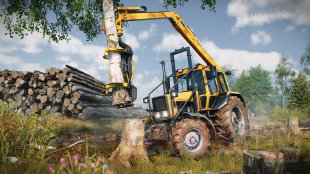 RoadCraft Timberworks04.