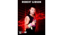 Robert-Gibson