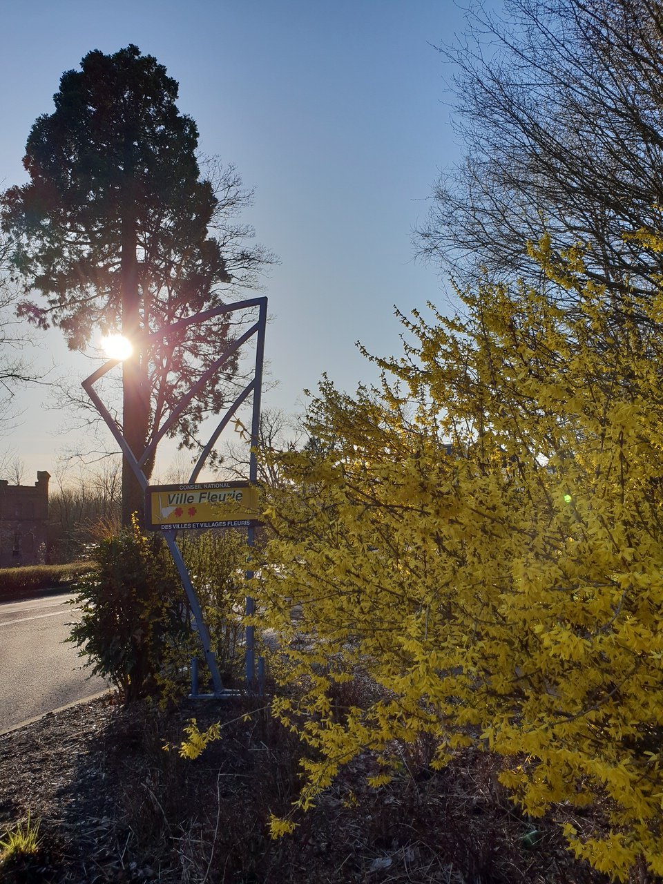Samsung Galaxy S9 test photo DCIM 18