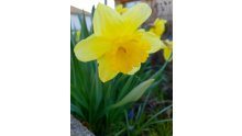 Samsung Galaxy S9 test photo DCIM 22