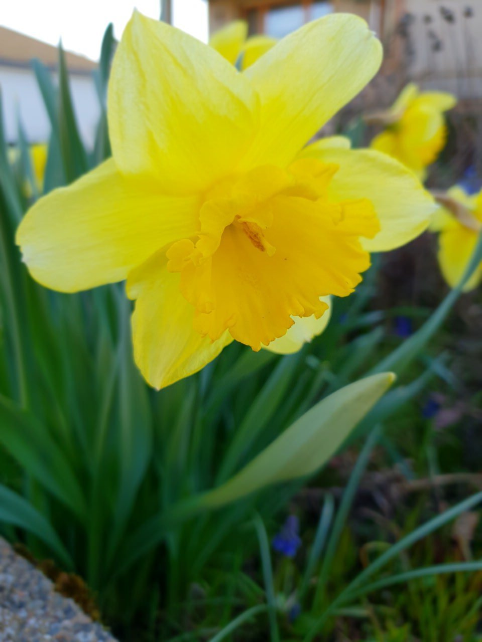 Samsung Galaxy S9 test photo DCIM 22