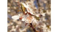 Samsung Galaxy S9 test photo DCIM 25