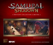 Samurai Shodown collector 02 03 06 2019