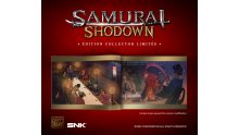 Samurai-Shodown-collector-02-03-06-2019