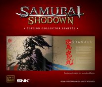 Samurai Shodown collector 03 03 06 2019