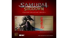 Samurai-Shodown-collector-03-03-06-2019
