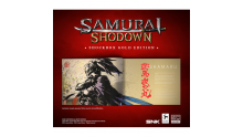 Samurai Shodown edition collector Neo Geo (2)