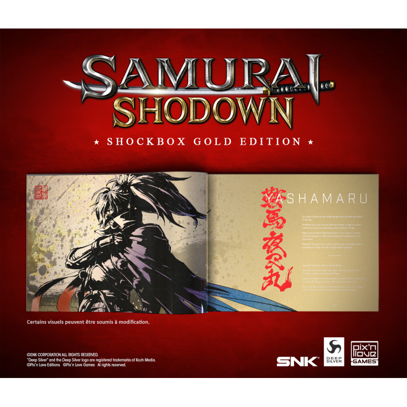 Samurai Shodown edition collector Neo Geo (2)