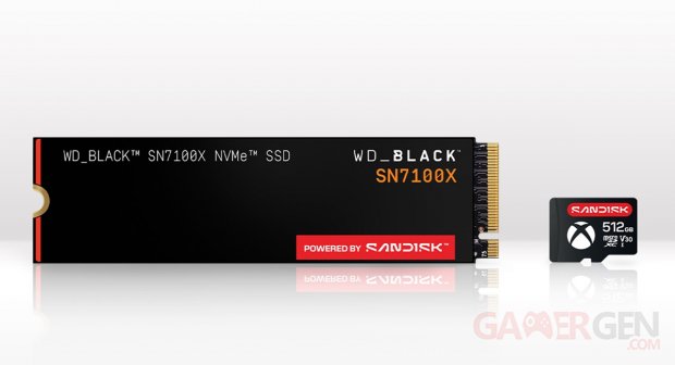 Sandisk ROG Xbox Ally SSD microSD