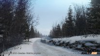 Sebastien Loeb Rally Evo 22 01 2015 screenshot (10)