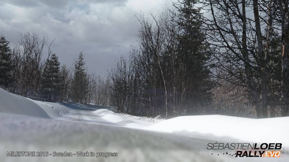 Sebastien-Loeb-Rally-Evo_22-01-2015_screenshot (6)