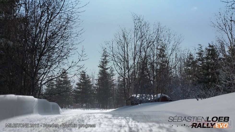 Sebastien-Loeb-Rally-Evo_22-01-2015_screenshot (9)