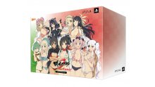 Senran-Kagura-Burst-Re-Newal_2017_08-30-17_002