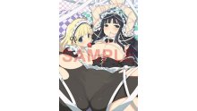 Senran Kagura Burst ReNewal 03-11-2017 (33)