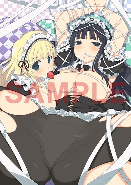 Senran Kagura Burst ReNewal 03-11-2017 (33)