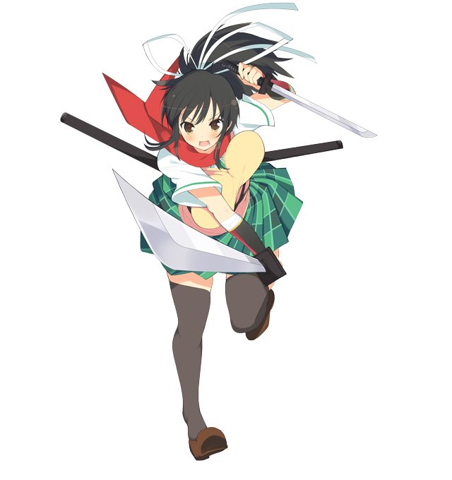 Senran Kagura Estival Versus 26.01.2015  (2)