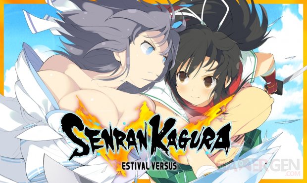 Senran Kagura Estival Versus 28 07 2015 artwork