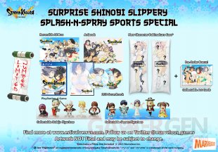 Senran Kagura Estival Versus 28 07 2015 collector 3