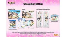 Senran-Kagura-Estival-Versus_28-07-2015_collector-4