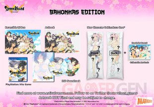 Senran Kagura Estival Versus 28 07 2015 collector 4