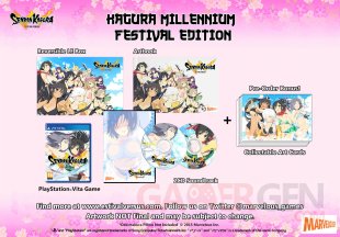 Senran Kagura Estival Versus 28 07 2015 collector 5