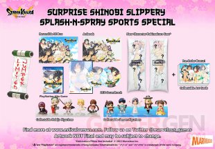 Senran Kagura Estival Versus 28 07 2015 collector 6