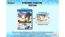 Senran-Kagura-Estival-Versus_28-07-2015_standard-1