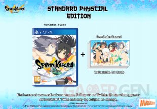 Senran Kagura Estival Versus 28 07 2015 standard 1