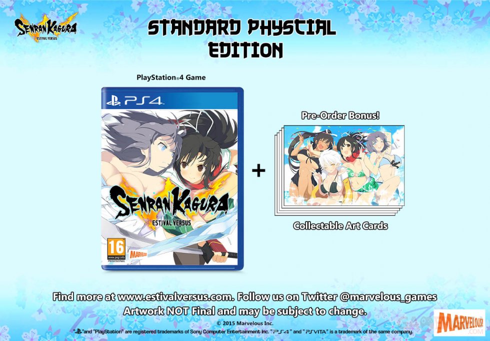 Senran-Kagura-Estival-Versus_28-07-2015_standard-1