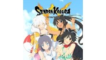 Senran Kagura Estival Versus