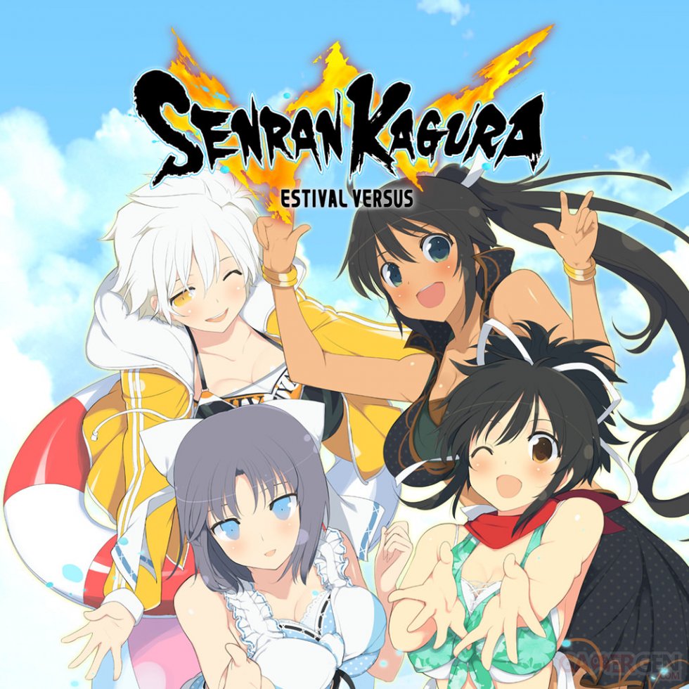 Senran Kagura Estival Versus