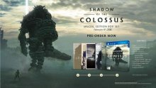 Shadow-of-the-Colossus_09-12-2017_special-edition