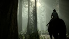 Shadow of the Colossus images (4)