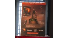 Shadow-of-the-Tomb-Raider_26-04-2018_éditions-3