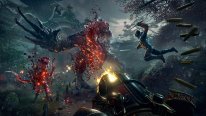 Shadow Warrior 2   annonce 4
