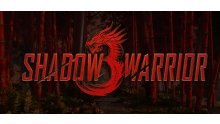 Shadow Warrior 3 header