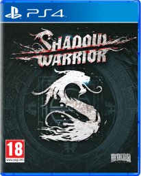 Shadow Warrior   pack 2D PS4 1406122014