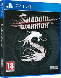 Shadow Warrior   pack 3D PS4 1406122015