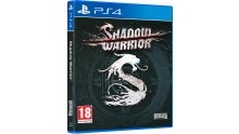 Shadow Warrior - pack 3D PS4_1406122015
