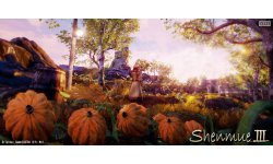 Shenmue III 2016 02 27 16 002